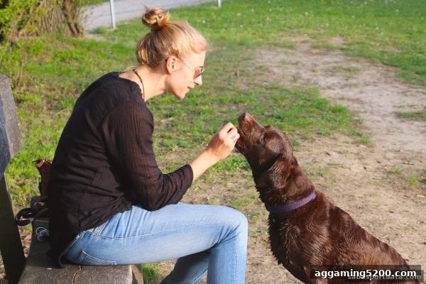 沙巴体育官网首存返利活动全解析：飞禽走兽新手福利领取指南
